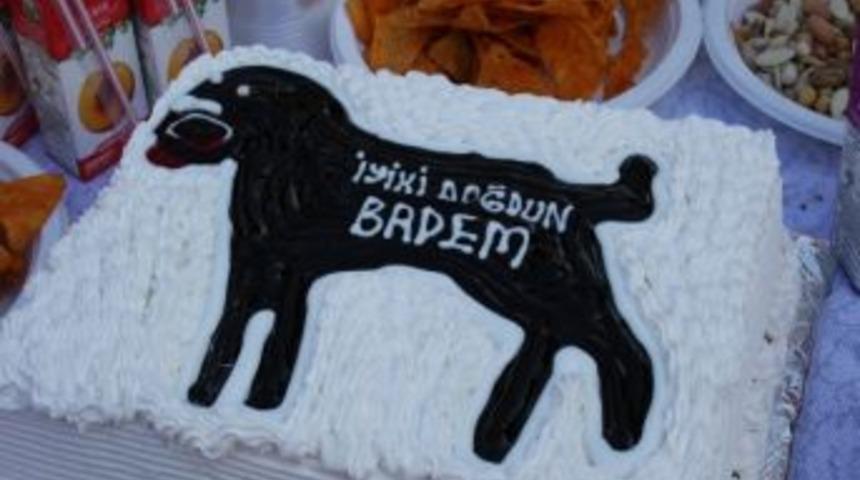 K&ouml;peği İ&ccedil;in Doğum G&uuml;n&uuml; D&uuml;zenledi