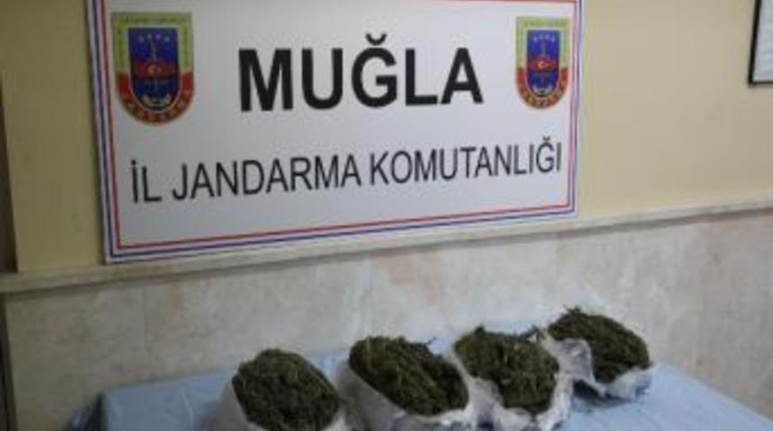 Milas&rsquo;ta Uyuşturucu Operasyonu
