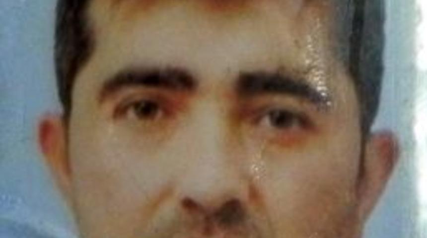 Minib&uuml;s S&uuml;r&uuml;c&uuml;s&uuml; 5 G&uuml;n Hayata Tutunabildi
