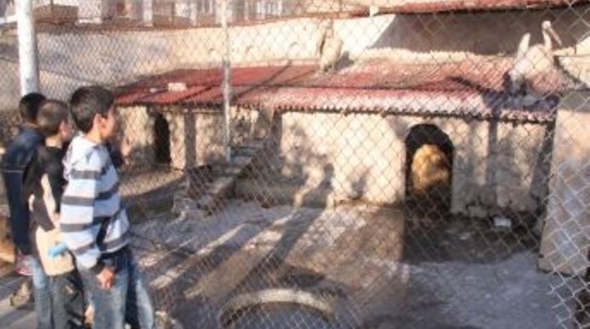 T&uuml;rk Tarımın Ge&ccedil;mişi Bu M&uuml;zede Sergileniyor