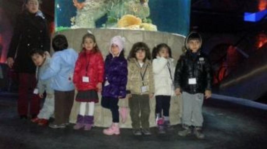 Miniklerin Akvaryum Keyfi