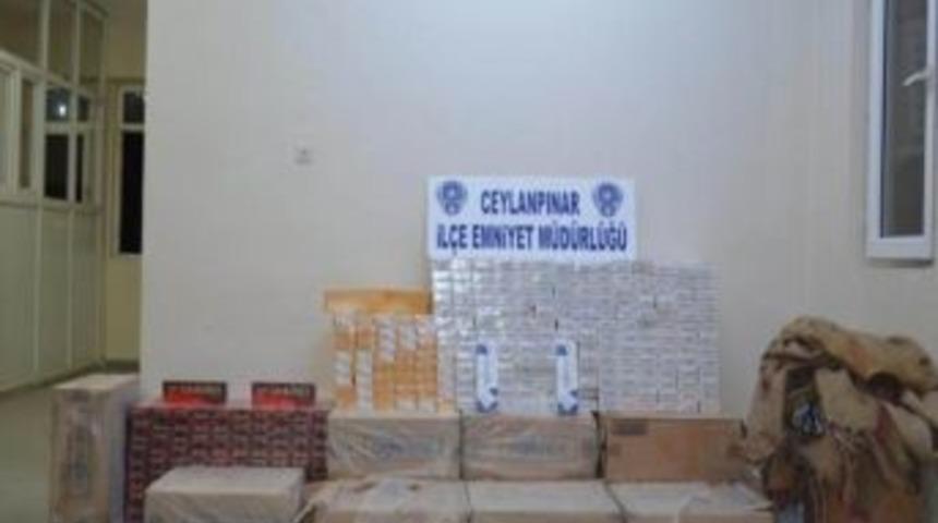 Ceylanpınar Polisinden Başarılı Operasyon