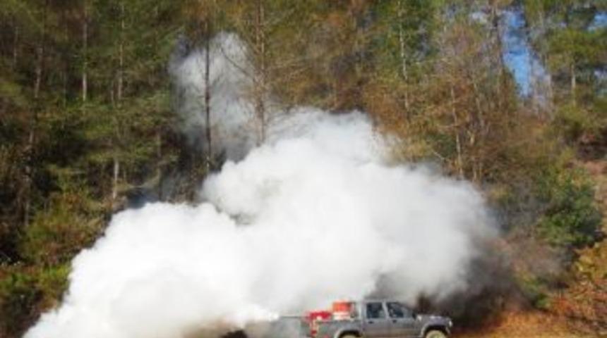 Gazipaşa&rsquo;da &Ccedil;amkese B&ouml;ceği M&uuml;cadelesi Başladı