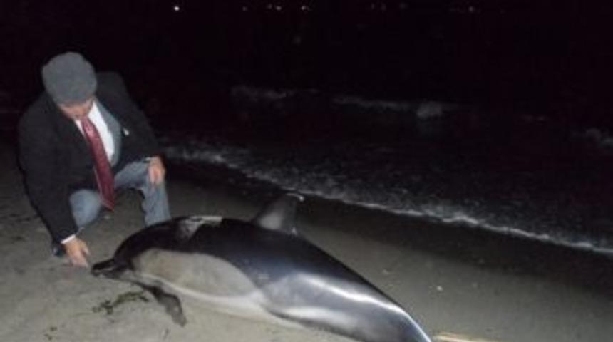 &Ouml;l&uuml; Yunus Karaya Vurdu