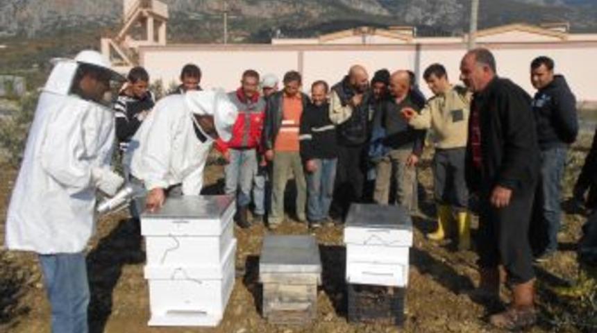 Cezaevinde Arı Yetiştirmeyi &Ouml;ğreniyorlar