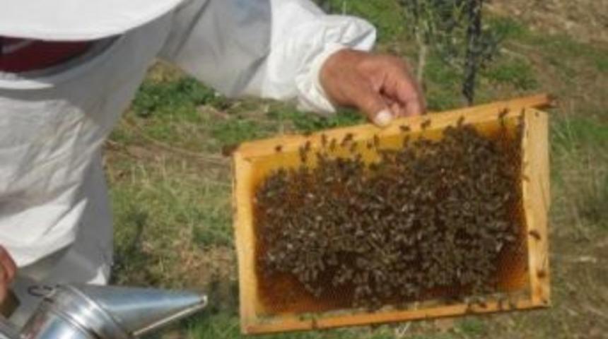 Cezaevinden Arıcılığa Destek