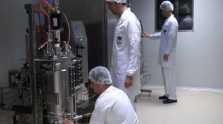 T&uuml;rkiye&rsquo;nin aşısı Urfa&rsquo;dan