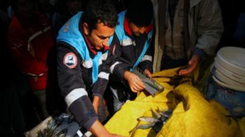 İstanbul'da Ka&ccedil;ak Balık Satıcılarına Gece Baskını