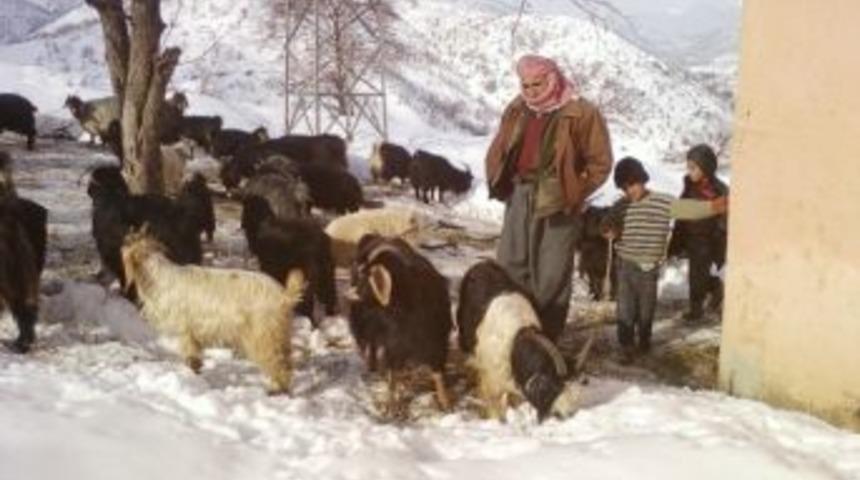 K&uuml;&ccedil;&uuml;k Baş Hayvan Sahipleri Dertli
