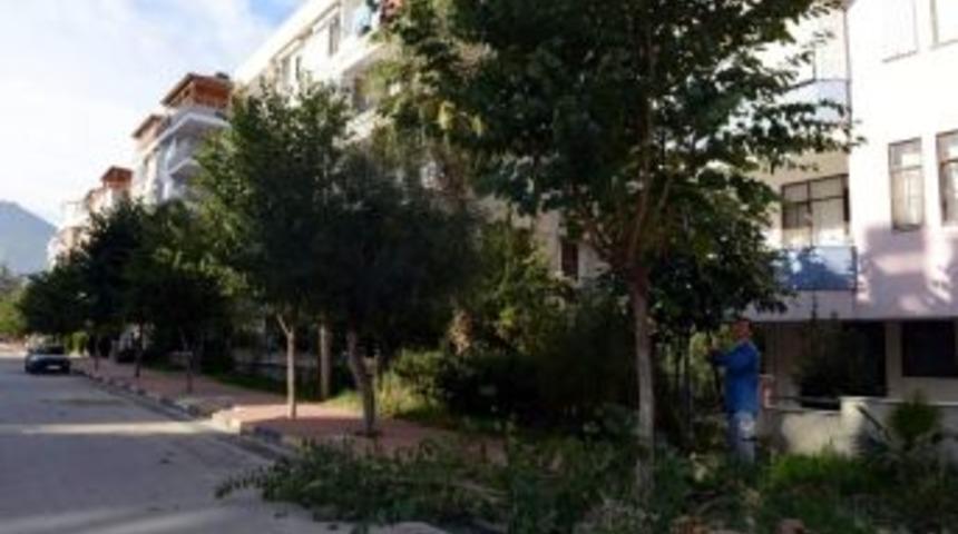 Konyaaltı&rsquo;nda Kış Bakımı Devam Ediyor