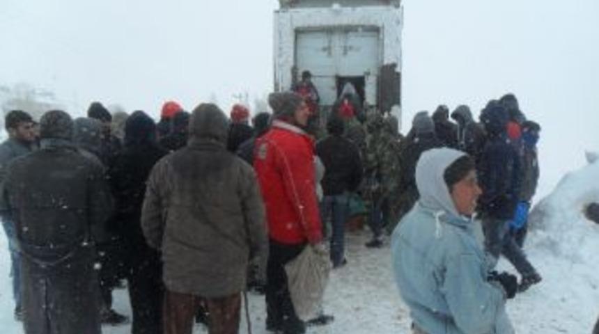 Karayazı&rsquo;da 57 Aileye Simmental Irkı Gebe D&uuml;ve Dağıtımı Yapıldı