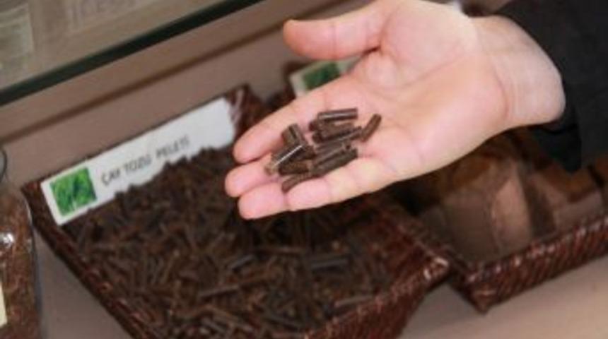 Enerji Bitkileri Atıklarından K&ouml;m&uuml;re Alternatif Katı Yakıt &Uuml;rettiler
