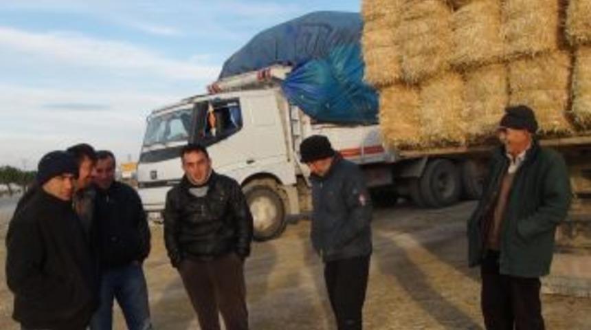 Saman Ihtiyacı &Ccedil;ok, Alan Yok