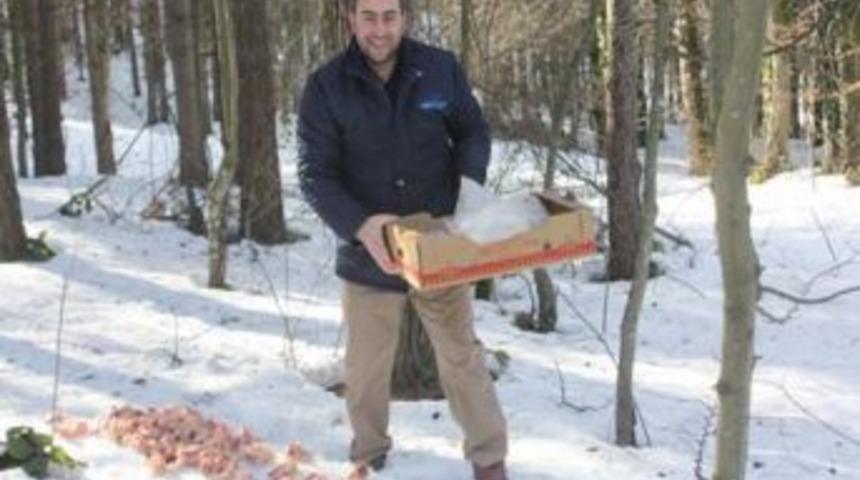 Yaban Hayvanlarına 2 Ton Yem Atıldı