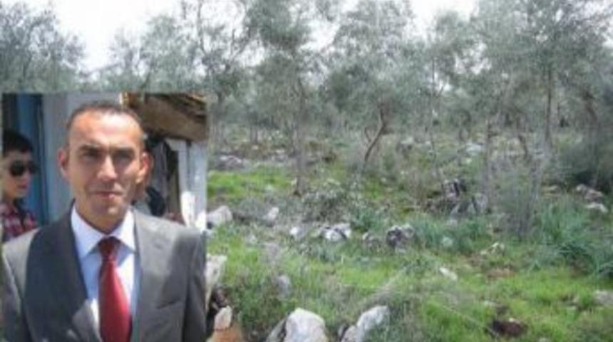 Milas'ta, dolu zeytin  ağa&ccedil;larına  zarar verdi