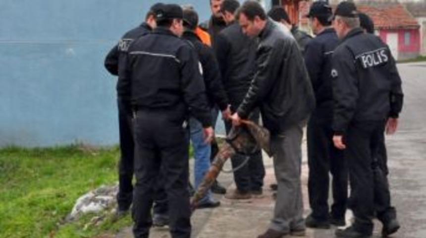 Şehir Merkezinde Avcı Avı