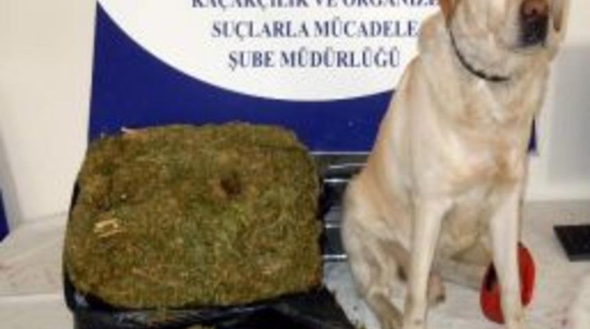 Eskişehir'de Uyuşturucu Operasyonu