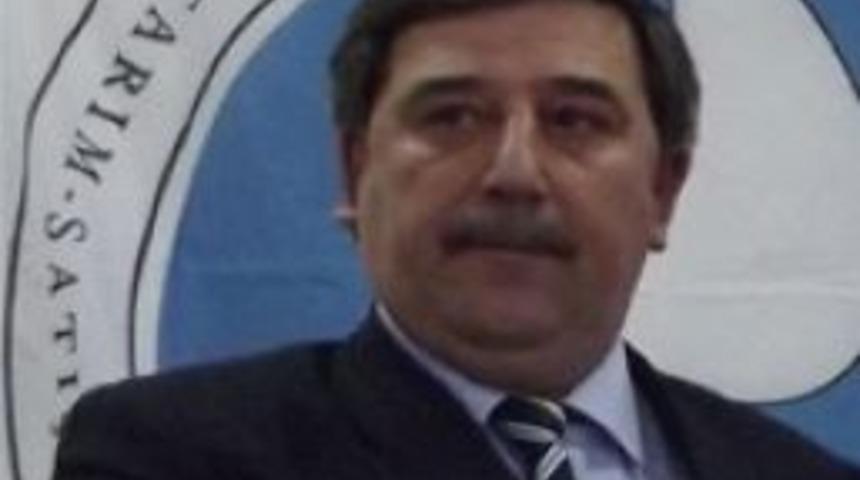 Şark&ouml;y&rsquo;de Zeytin Rekolte Beyanı Y&uuml;zde Doksan Ger&ccedil;ekleşti