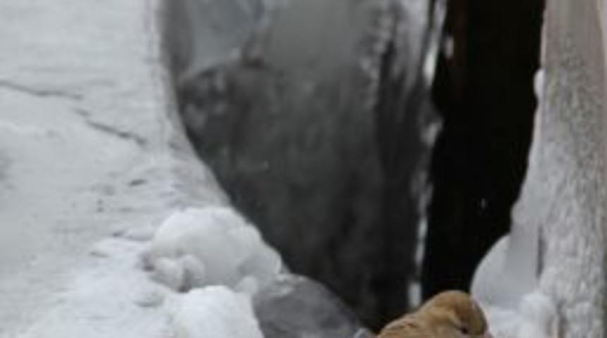 Doğu&rsquo;da Soğuk Hava