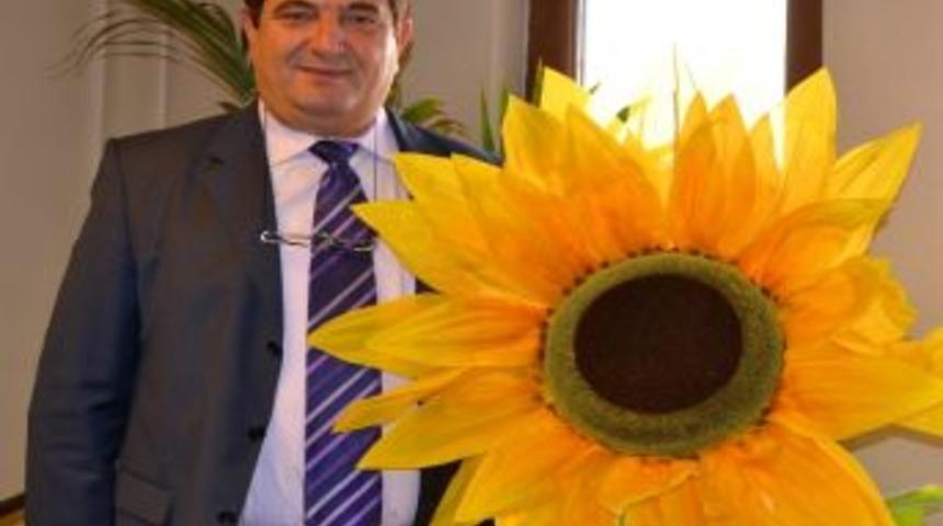Kar Yok Yağmur Var