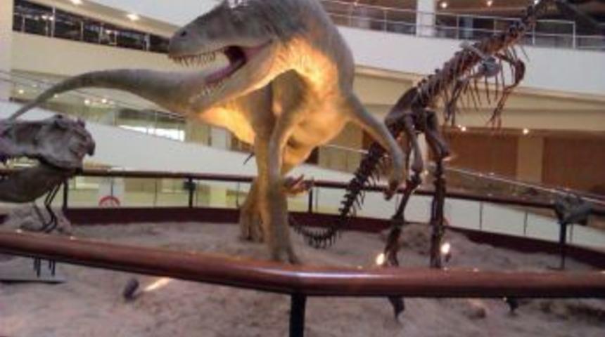 Mamaklı &Ouml;ğrenciler Tabiat Tarihi M&uuml;zesi&rsquo;ni Gezdi