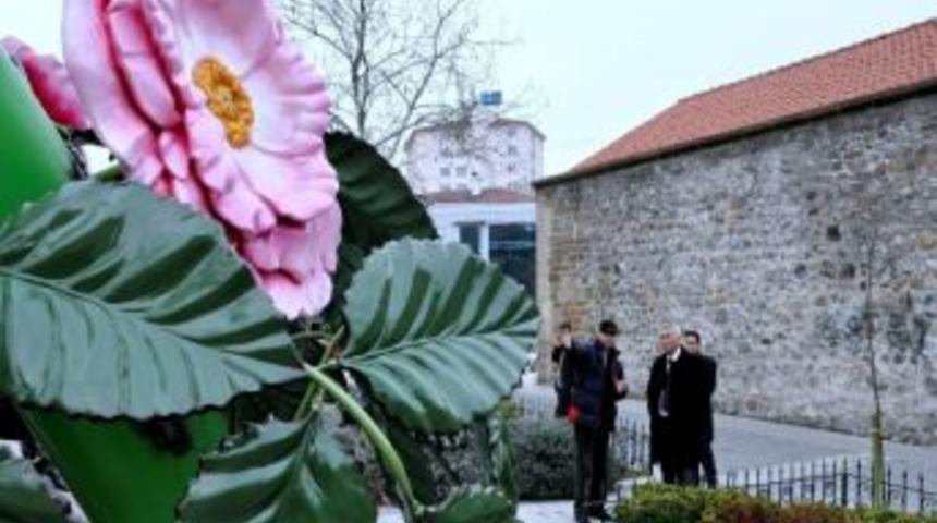 Dev G&uuml;llerin Yerini K&uuml;&ccedil;&uuml;k G&uuml;ller Aldı