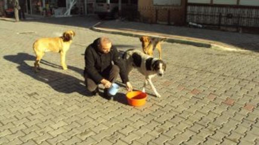 Sokak hayvanları unutulmadı