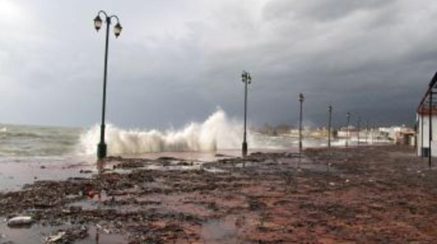 Lodosla Gelen Meyveleri Vatandaşlar Topladı