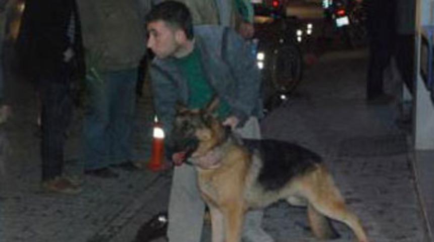 Kendi k&ouml;peği i&ccedil;in başka k&ouml;peği vurdu