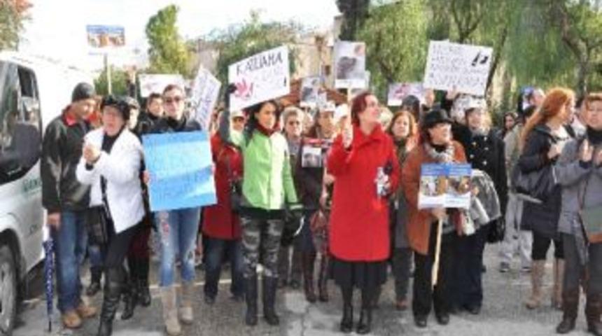 Hayvanseverler Kedi &Ouml;l&uuml;mlerine Tepki İ&ccedil;in Y&uuml;r&uuml;d&uuml;