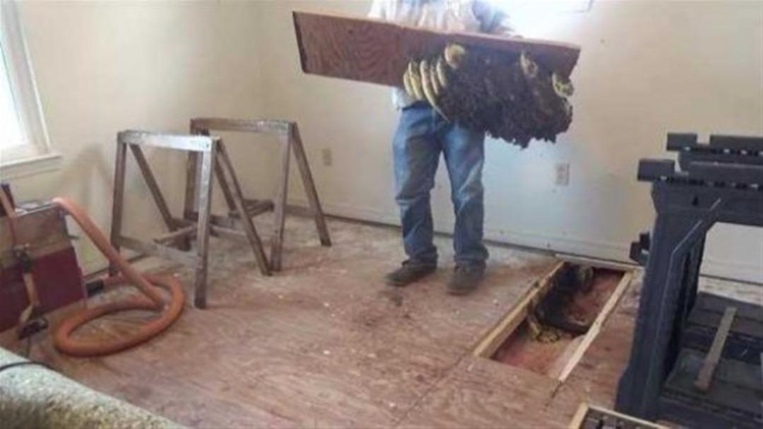 Yatağın altından &ccedil;ıkan şoke etti 