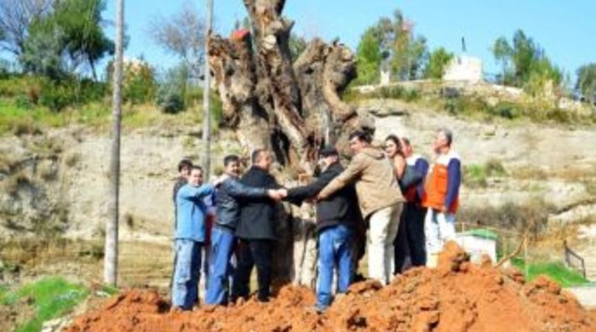 Anıt Ağa&ccedil; &Ccedil;obandede&rsquo;ye Dikildi