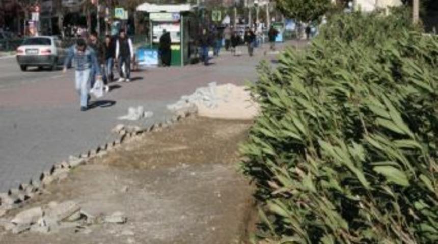 Lodos Bursa&rsquo;da Hayatı Olumsuz Etkiliyor