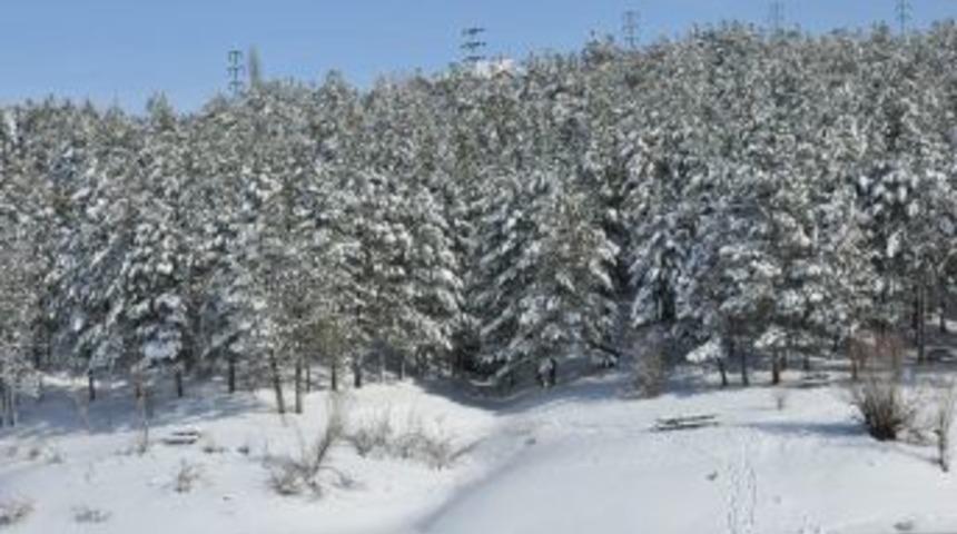 &Ccedil;amlık Milli Parkı'nda Kar Ile Gelen G&uuml;zel Manzaralar