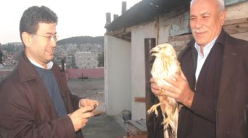 Otomobiliyle &Ccedil;arptığı Doğanı Tedavi Ettirdi