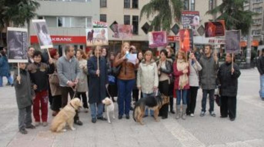 Samsun'da Hayvan Severler Eylem Yaptı