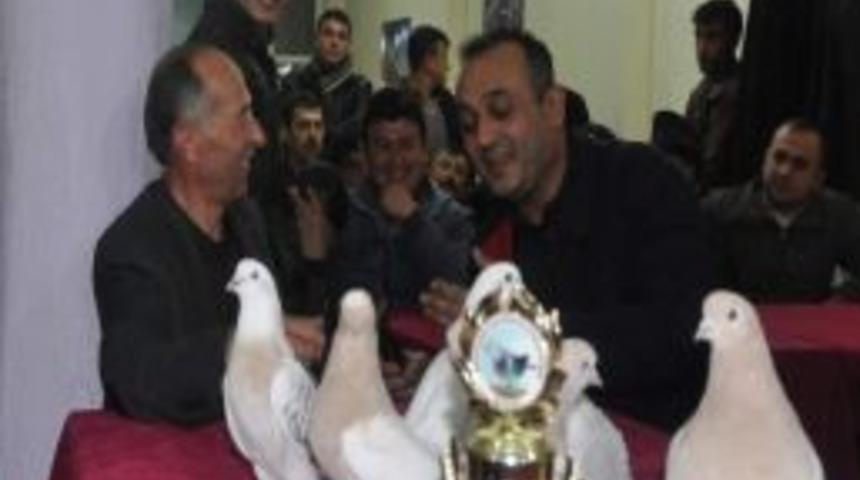 Sandıklı&rsquo;da G&uuml;vercin İhalesi Yapıldı