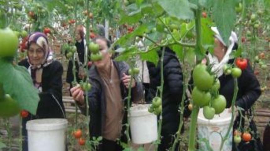 Eynal Kaplıcaları Tatilcilerin Akınına Uğradı