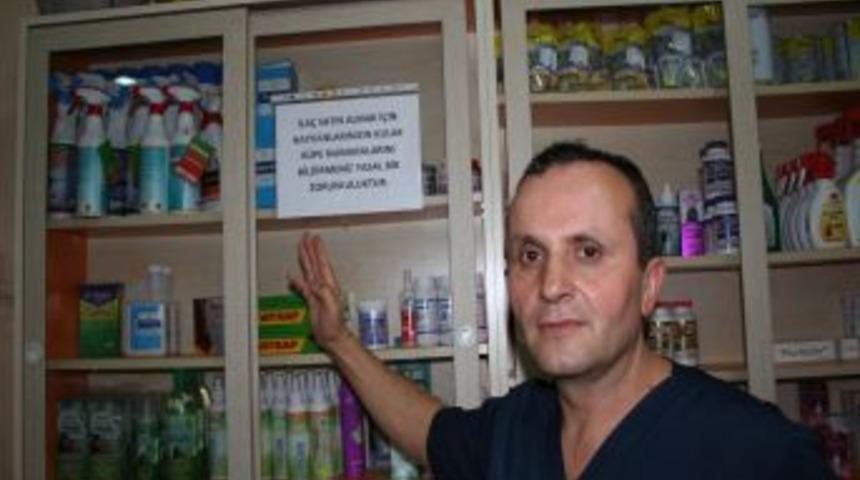 Sağlıklı Et Ve S&uuml;te &Ouml;nemli Adım: Kulak K&uuml;pesi Yoksa Veteriner Ilacı Da Yok