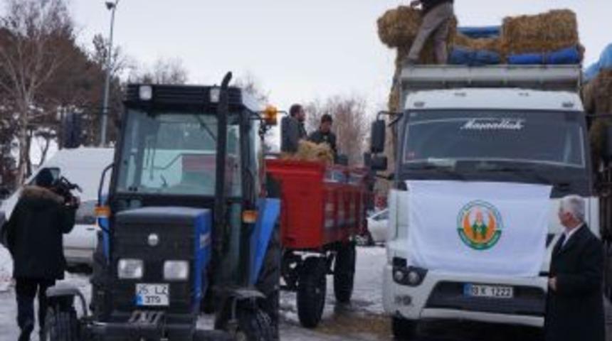 Besicilere, Ithal Ot Dağıtımına Başlandı