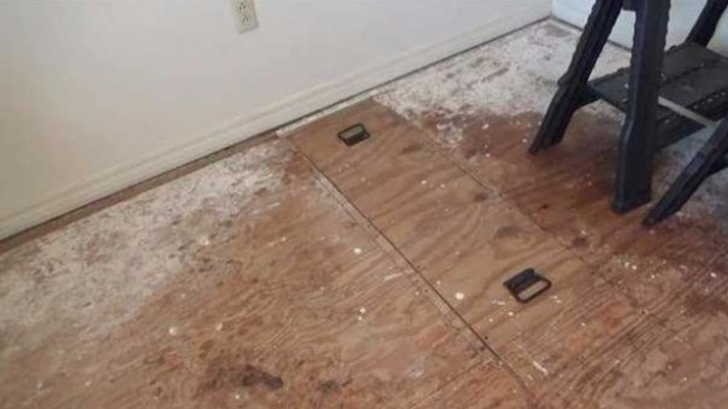 Yatağın altından çıkan şoke etti  G2