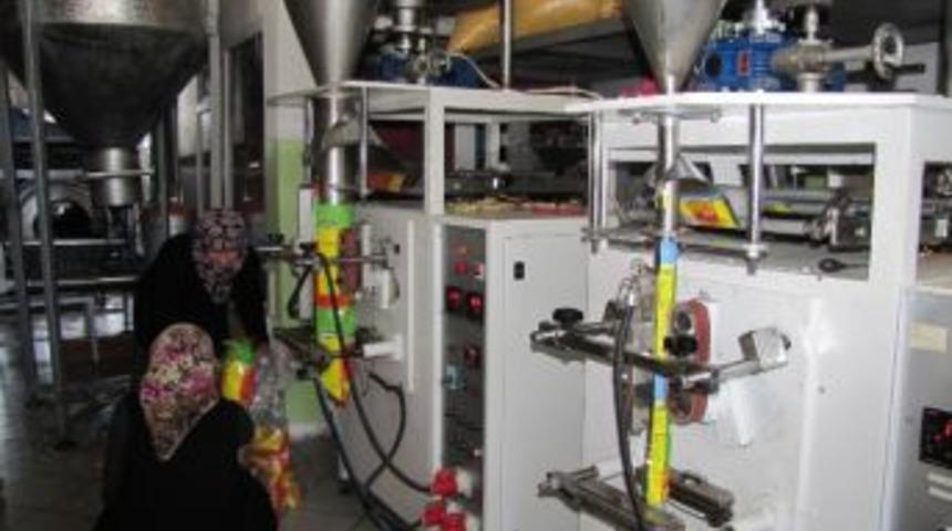 Mısır Cipsi &Uuml;retimi Başlandı