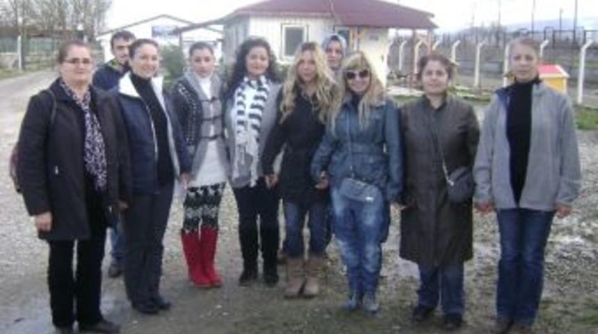 Hayvan Hakları Dernekleri