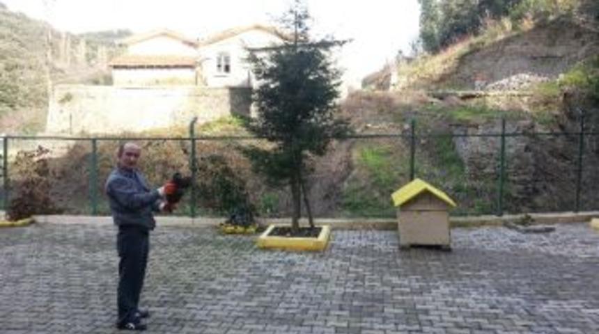 Yaralı Doğan&rsquo;lara Belediye Sahip &Ccedil;ıktı