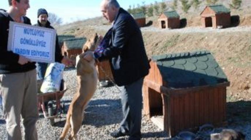 &Ouml;ğrenciler Hayvan Barınağını Ziyaret Etti