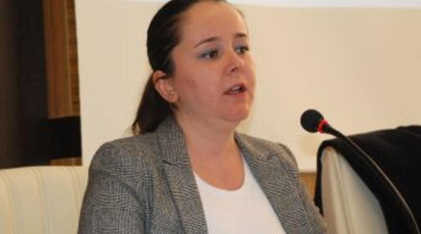 AB Uyum S&uuml;recinde Valiliklerin Hizmet Kapasiteleri Artırılacak