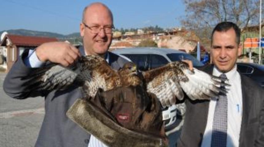 Yaralı Şahine Belediye Şefkati