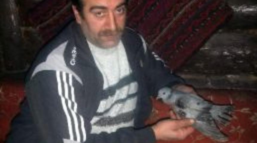 Yaralı G&uuml;vercine Esnaf Sahip &Ccedil;ıktı