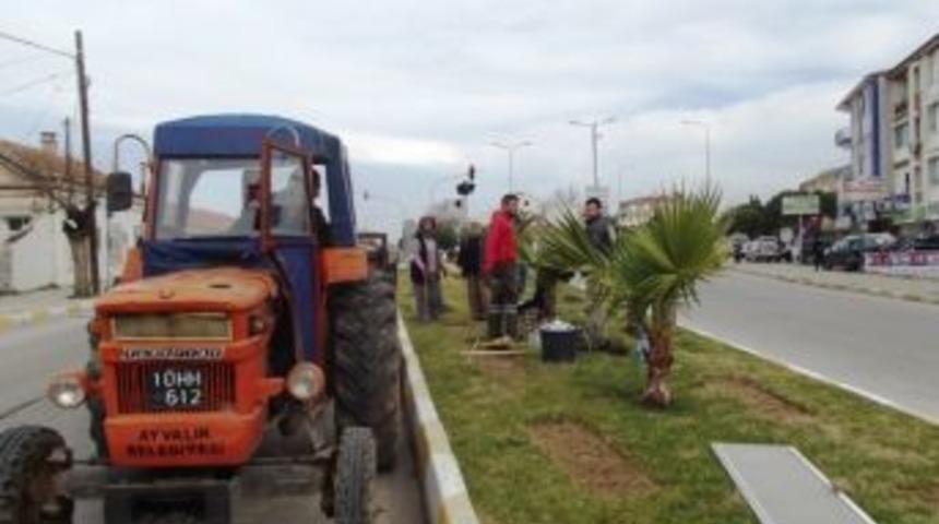 Ayvalık Belediyesi&rsquo;nden 2 Bin G&uuml;l
