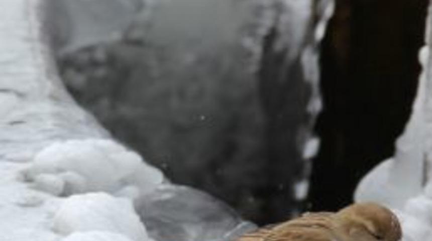 Doğu&rsquo;da Soğuk Hava